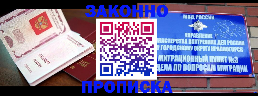 прописка для школы в Братске